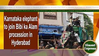 Karnataka elephant to join Bibi ka Alam procession in Hyderabad | Siasat Express | 11-July-2024