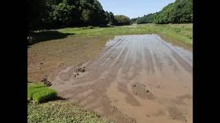 田植え機　回り方の例（枕地2回）