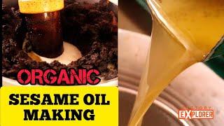 HOW? Sesame Oil is made? | Wood Pressed Oil | Factory Explorer