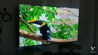 Hisense U6G 55 inch 4K TV