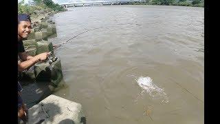 #BIGCATFISH """NARIK IKAN DI SPOT INI"""