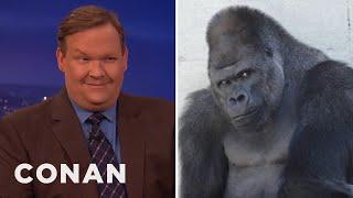 Shabani The Handsome Gorilla Bewitches Andy Richter | CONAN on TBS