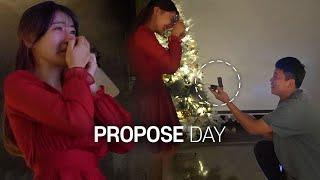 Surprise Propose