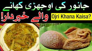 Ojri Khane K Fayde Aur Nuksan | Mehrban Ali | Ojri Khana Kaisa Hai