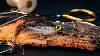 I Tied The WORLDS Weirdest Fly | And It Actually Caught Fish