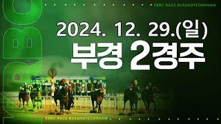 (부산) 2024.12.29 2경주