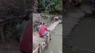 seru lomba mancing ikan mas ikan ngeblok jadi 1 lapak