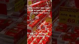 일본 낫또 종류 수준/Look how many Natto they have in grocery in Japan