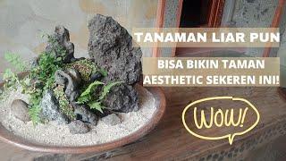 BUAT TAMAN ESTETIK PAKE TANAMAN LIAR! RUANGAN JADI LEBIH KEREN