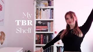 My TBR Bookshelf! All the books on my current TBR   