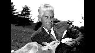 Wild Kingdom Search For Yeti 1969