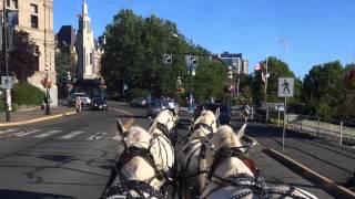 Victoria Carriage Tours four in hand