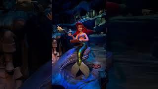 la petite sirène #disney #disneyparktour #lapetitesirene #disney #disneyfilms #tendance #shortvideo