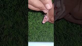 Easy nailart#ytshorts #nailart#shorts#ytshorts#youtubeshorts #dragmarblenailart#shailjakicreativity