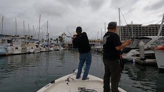 Saltwater Bass Series Round 5 from San Diego Bay! Great fishing and a Catastrophic Mistake!