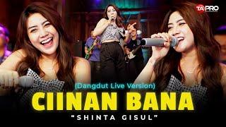 Shinta Gisul - Ciinan Bana (Official Live Dangdut Lembayung Musik)