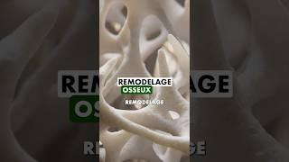  En savoir plus sur l’#osteoporose ! #menopause #fracture #os #docteur #medecine #rhumato