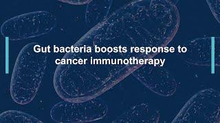 Gut bacteria can boost response to cancer immunotherapy