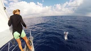 2016 - Sailing Mallorca to Menorca - HR54 Cloudy Bay - Sep 2016