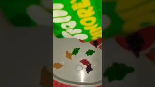 TROLLI DINOREX GUMMY#asmr#asmrsounds#asmrvideo#shortvideo#shorts#gummy