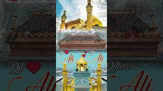 Dil Ali DilBar Ali ️️ #maulaali #ali #alimaula #noha #islamicstatus #islamicquotes