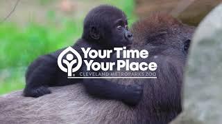 Cleveland Metroparks Zoo - Adventure Awaits Around Every Corner