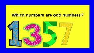 Even and Odd Numbers SONG!!  Learn by Singing!