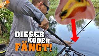 2 Angler & 1 Top Stelle! Fängt die linke oder rechte Uferseite besser? OSA in Mission Angeln