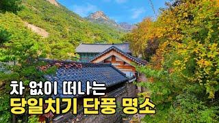 1석 2조! 단풍 트레킹 코스 지하철 타고 떠나는 서울 단풍 명소| 대중교통 당일치기 국내여행 | 진관사 삼천사 | Maple Trekking in Korea