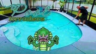 Pool Invaders, DIY Home Projects Vlog