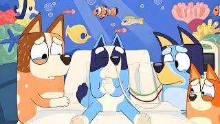 How Bluey's Older Brother Died - Characters Passing Away In Bluey