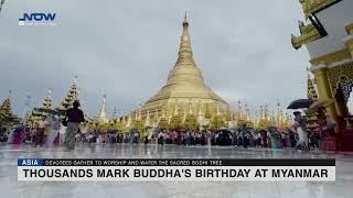 Thousands Mark Buddha's Birthday at Myanmar's Shwedagon