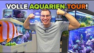 Alle AQUARIEN im Fischfachgeschäft!  - UPDATES!