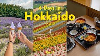 6 days in Hokkaido  北海道 (must-eat, photo spots, shopping haul, cute cafes) | part 1 | japan trip