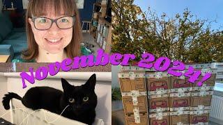 MY READING MONTH: NOVEMBER 2024! - What Victoria Read - Booktube