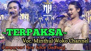  TERPAKSA ~ MINTHUL WOKO CHANNEL "CAMPURSARI NEW SEKAR GADHUNG" TERBARU 2024