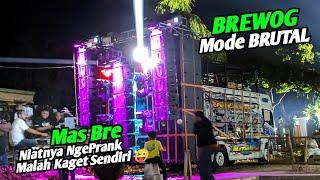 MAS BRE niatnya Ngeprank malah kaget sendiri, BREWOG mode brutal cek sound Arjosari Kalipare 