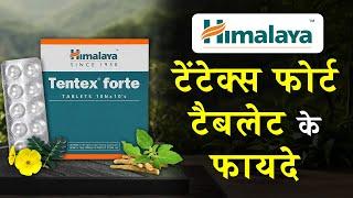 Himalaya Tentex Forte Tablet Benefits in Hindi | हिमालय टेंटेक्स फोर्ट टैबलेट के फायदे