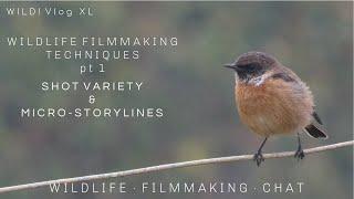 WILDLIFE FILMMAKING TECHNIQUES pt 1 - Shot Variety and Micro-Storylines  WILD! Vlog XL