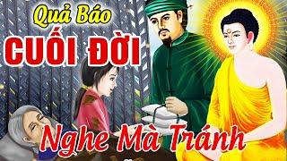 6 Chuyện Nhân Quả Báo Ứng Hiện Đời, Làm Ác Gặp THẢM CẢNH LÚC CUỐI ĐỜI | Kể Chuyện Đêm Khuya