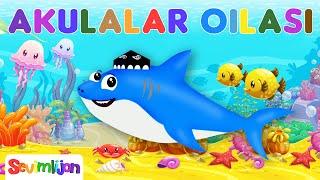 Akulalar oilasi – SEVIMLIJON | Детские песни | Болалар қўшиқлари | Bolalar Qo'shiqlari | KIDS 2023