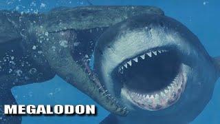 2 Megalodon vs 2 Mosasaurus - Fight & All Skins Showcase - Jurassic World Evolution 2 (4K 60FPS)