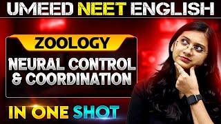 NEURAL CONTROL & COORDINATION in 1 Shot | All concepts Covered | UMEED NEET in Pure English