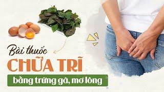 BÀI THUỐC CHỮA TRĨ BẰNG TRỨNG GÀ MƠ LÔNG HẾT ĐAU BÚI TRĨ KHÔNG TỐN TIỀN CÙNG ĐỐC TƠ TRĨ