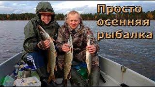 Такая рыбалка - мечта рыбака! Ловля щуки в октябре.