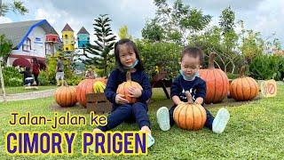 Cimory Prigen | Wisata Keluarga