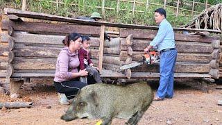 My husband helped me build the pigsty and it is 60% complete - Chẩu Thị Đắc