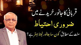 How to Buy a Qurbani Animal? | صحیح جانور کا انتخاب کیسے کریں؟ | Syed Sarfraz Ahmad Shah
