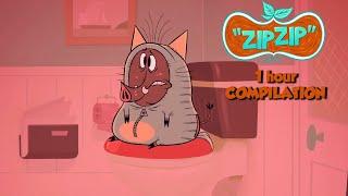 Zip Zip *1hour* Season 2 - COMPILATION HD [Official] Cartoon for kids