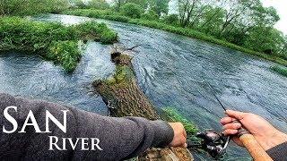 Górska Rzeka San | #Pstrąg potokowy  z Sanu |Trout Fishing